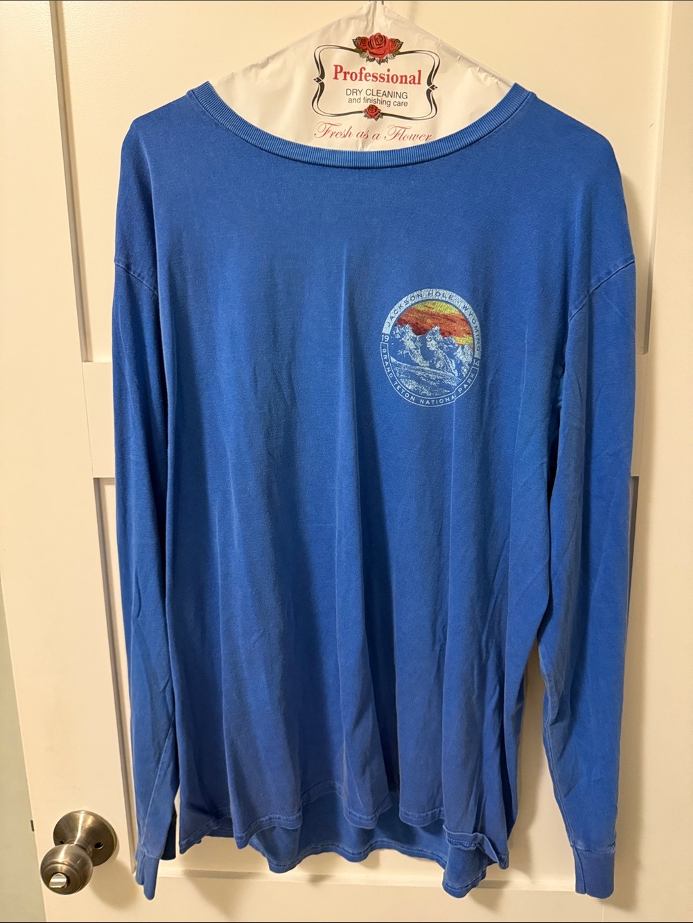 Men's Blue Long-Sleeve Graphic Crewneck Shirt